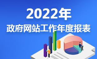 2022年政府网站工作年度报表