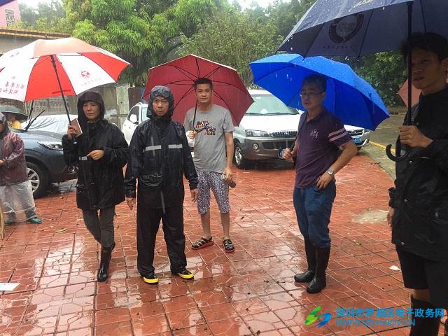 罗湖区电子政务网